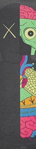 Design 529496 Skateboards, Longboards and Grip Tape