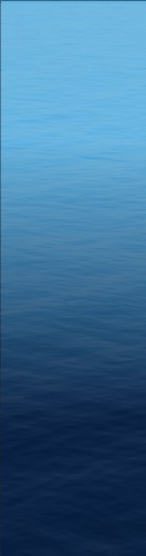 Design 529527 Skateboards, Longboards and Grip Tape Image