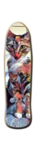 Design 531670 Skateboards, Longboards and Grip Tape Image