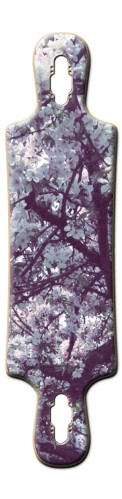 Design 532047