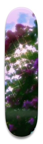 Design 532220 Skateboards, Longboards and Grip Tape Image