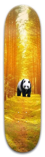 Design 532406 Skateboards, Longboards and Grip Tape Image