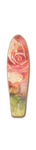 Design 532746 Skateboards, Longboards and Grip Tape