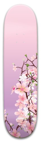 jason Skateboards, Longboards and Grip Tape Image