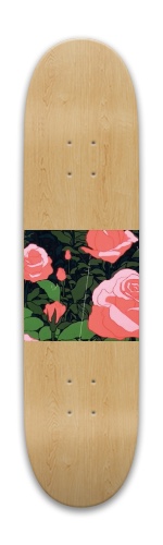 Design 533269 Skateboards, Longboards and Grip Tape