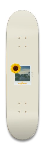 Cute Polaroid Skateboards, Longboards and Grip Tape Image