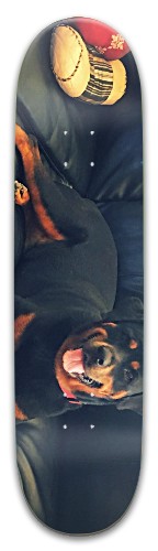 Design 533434 Skateboards, Longboards and Grip Tape Image