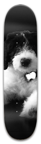 Design 533646 Skateboards, Longboards and Grip Tape