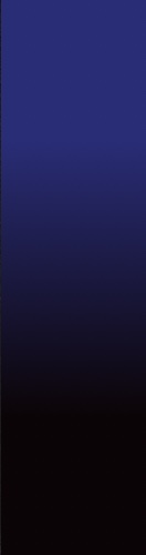 bleu/blak