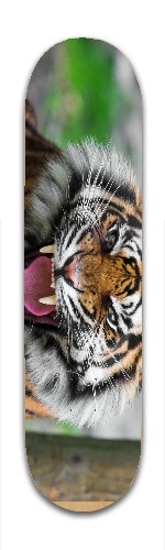 Design 53715 Skateboards, Longboards and Grip Tape