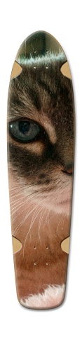 Design 537196 Skateboards, Longboards and Grip Tape Image