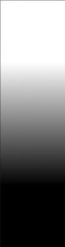 Design 539012 Skateboards, Longboards and Grip Tape Image