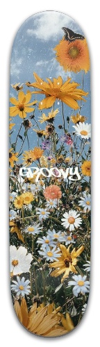 Design 539343 Skateboards, Longboards and Grip Tape
