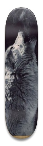 Design 539820 Skateboards, Longboards and Grip Tape