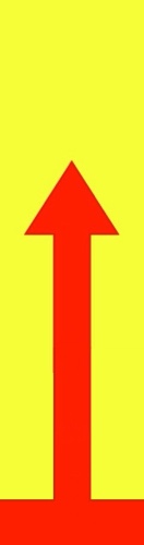 Design 539915 Skateboards, Longboards and Grip Tape Image