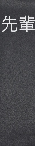 Design 540244 Skateboards, Longboards and Grip Tape Image