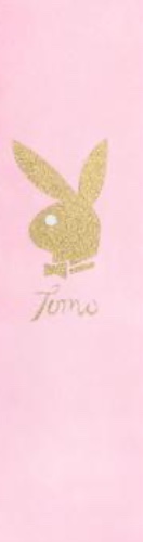 Design 541957 Skateboards, Longboards and Grip Tape Image