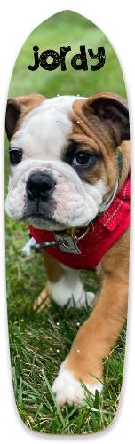 Jordy&amp;#039;s Board Skateboards, Longboards and Grip Tape Image