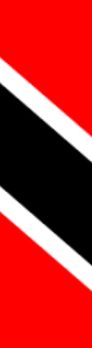 Design 542005 Skateboards, Longboards and Grip Tape