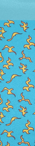 Design 543622 Skateboards, Longboards and Grip Tape Image