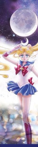 Design 543934 Skateboards, Longboards and Grip Tape Image