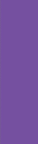 Design 544085 Skateboards, Longboards and Grip Tape Image