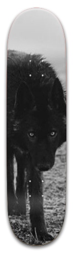 Design 544411 Skateboards, Longboards and Grip Tape Image