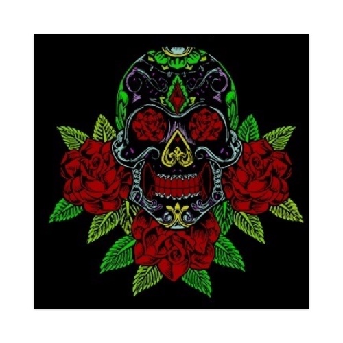 Design 545082 Skateboards, Longboards and Grip Tape