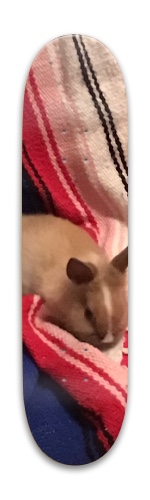 Design 546030 Skateboards, Longboards and Grip Tape Image