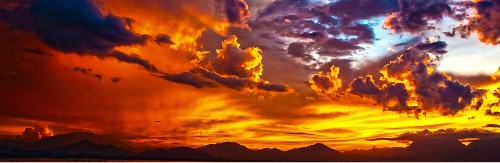 my eie Skateboards, Longboards and Grip Tape Image