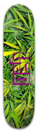 Design 546153 Skateboards, Longboards and Grip Tape