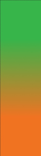 Design 546429 Skateboards, Longboards and Grip Tape Image