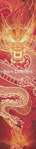 Design 547492 Skateboards, Longboards and Grip Tape