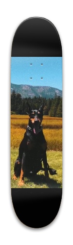 Design 548607 Skateboards, Longboards and Grip Tape Image