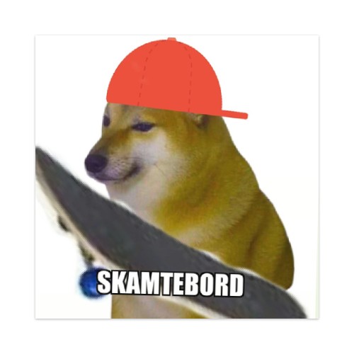 skamteboard Skateboards, Longboards and Grip Tape Image