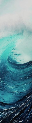 Design 549962 Skateboards, Longboards and Grip Tape Image