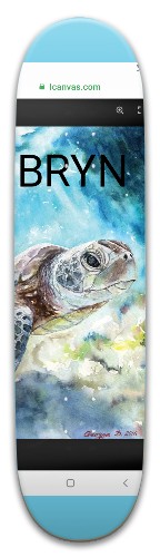 Design 550407 Skateboards, Longboards and Grip Tape Image