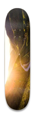 Design 551857 Skateboards, Longboards and Grip Tape