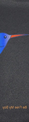 Design 551928 Skateboards, Longboards and Grip Tape