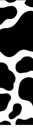 Design 552595 Skateboards, Longboards and Grip Tape Image