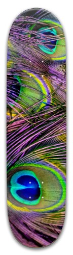 Animal skateboard Skateboards, Longboards and Grip Tape Image