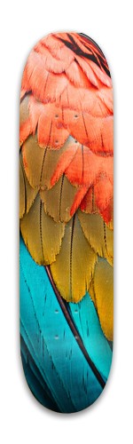 Animal skateboard Skateboards, Longboards and Grip Tape Image