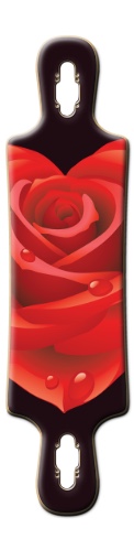 Design 554268