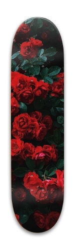 Design 554492 Skateboards, Longboards and Grip Tape