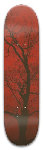 Design 554496 Skateboards, Longboards and Grip Tape