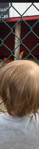 Design 554702 Skateboards, Longboards and Grip Tape Image