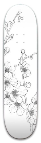 Design 554852