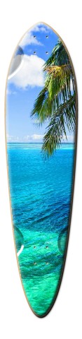 Design 55487 Skateboards, Longboards and Grip Tape
