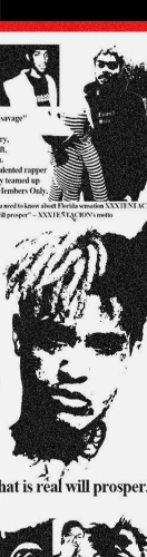 Design 554919 Skateboards, Longboards and Grip Tape Image