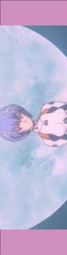 Design 555117 Skateboards, Longboards and Grip Tape Image